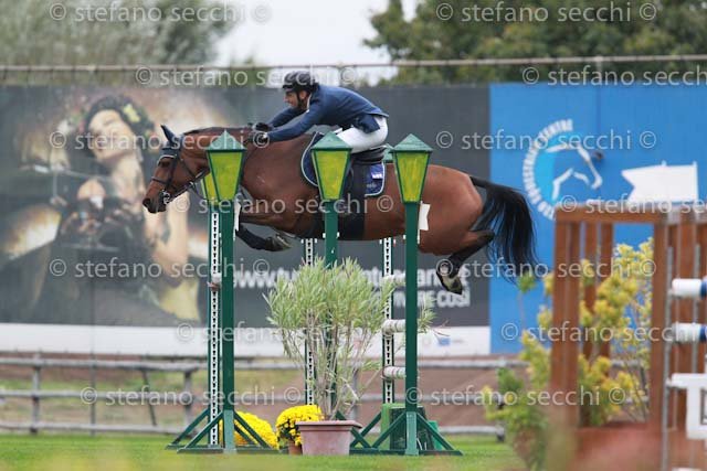 TAZZI_JACARAN_GIO CAV 2011_(154) SS3_9894.jpg